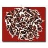 moringa seed exporter