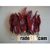 American red chili