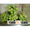 fresh green asparagus