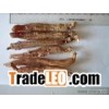 Ginseng