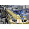 Sunflower Oil