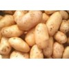 potato