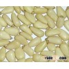 pine nut kernels
