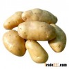 Fresh Potato