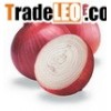 fresh onions
