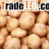 potato
