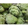 Fresh artichokes