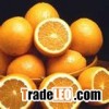 d-Limonene & Essential Oils