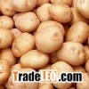 fresh potatoes