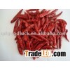 Chaotian chili