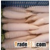 Fresh Radish
