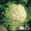 Frozen cauliflower
