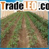drip irrigation system