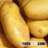 frozen Potato