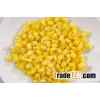 Frozen Sweet Corn