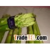 fresh asparagus