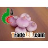 dehydrated Onions