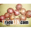 shallots;fresh shallots