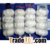 white garlic