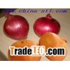 onion;fresh onion