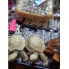 Indonesia Wooden Turtle