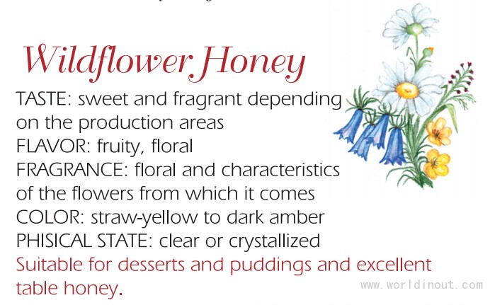 Wildflower ho<em></em>ney 2