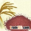 Functional Red Yeast Rice(Powder) (food&medical grade)