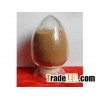 Healthcare Supplement Tuckahoe Extract
