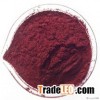 Natural food color extract beet red/red Sugar beet powder