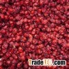 High Quality Herb Medicine,WuWeiZi extract