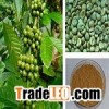 Top Grade Green Coffee Bean Extract(medical raw material)