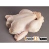 FROZEN WHOLE HALAL CHICKEN