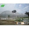 Plastic Film Multi-Span Greenhouse