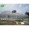 Economical Tunnel Greenhouse