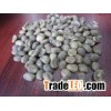 VN COFFEE BEANS