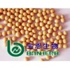 soybean extract