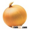 Frozen yellow onion