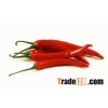 Frozen chilli