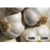 Frozen garlic