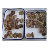 Canned suillus