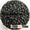 small black kidney beans