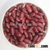 dark red kidney beans