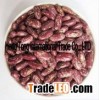 purple speckled kidney beans