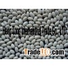 Japanese white kidney beans
