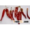 dry chilli
