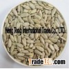 sunflower kernels