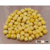 Freeze dried sweet corn
