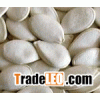 shine skin pumpkin seed