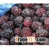 frozen blackberry