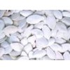 Snow white pumpkin seeds
